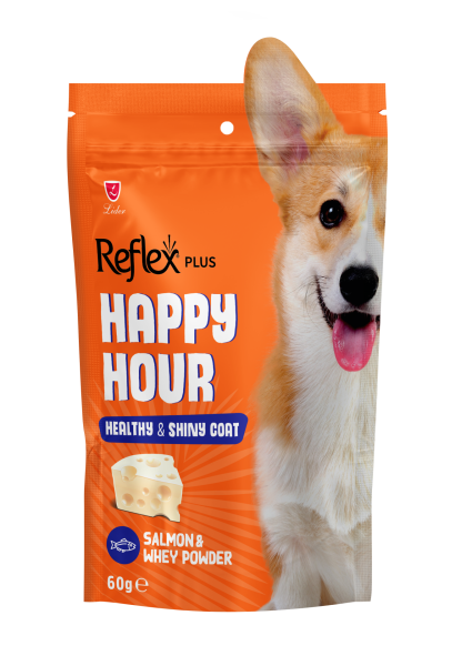 REFLEX HAPPY HOUR SAĞ&PARL TÜY DESTEĞİ KÖPEK  ÖDÜL