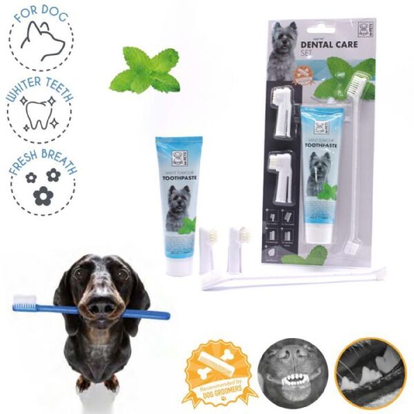 M-PETS NANELİ KÖPEK DİŞ MACUNU+FIRÇA SETİ