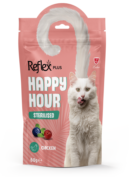 REFLEX HAPPY HOUR KISIR KEDİ ÖDÜL 60GR
