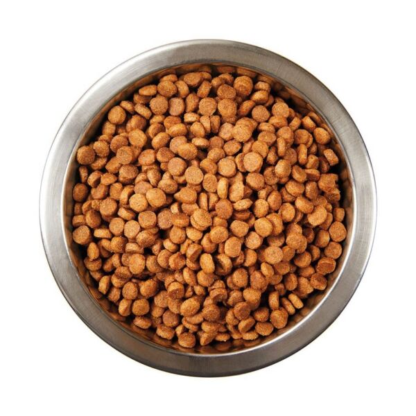 Katzoo Kısırlaştırılmış  Somunlu Yetişkin Kedi Maması 15kg