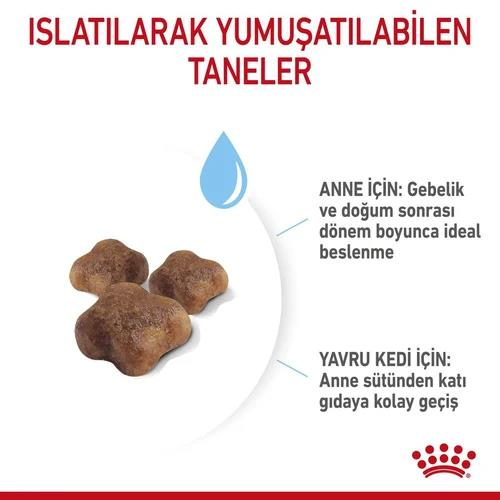 Royal Canin Mother & Babycat Anne ve Yavru Kediler için Kuru Kedi Maması 2 Kg