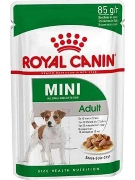 Royal Canin Shn Mını Adult Yetişkin Yaş  Köpek Maması 12X85 gr