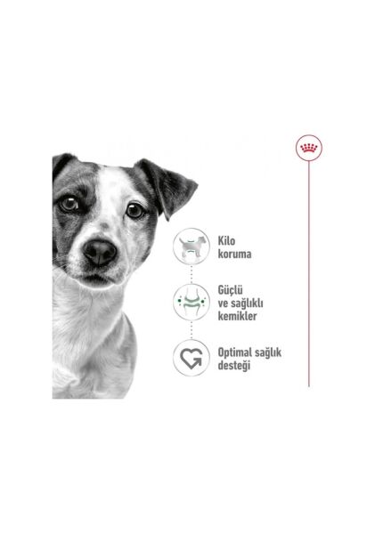 Royal Canin Mini Adult Kümes Hayvanlı Küçük Irk Yetişkin Köpek Maması 2 KG