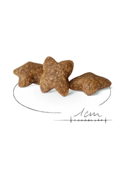 Royal Canin Mini Adult Kümes Hayvanlı Küçük Irk Yetişkin Köpek Maması 2 KG